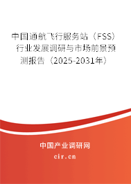 中國通航飛行服務站（FSS）行業發展調研與市場前景預測報告（2025-2031年）