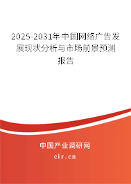 2024-2030年中國網絡廣告發展現狀分析與市場前景預測報告