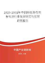 2025-2031年中國新能源專用車電池行業發展研究與前景趨勢報告