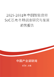 2025-2031年中國智能音頻SoC芯片市場調查研究與發展趨勢報告