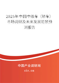 2023年中國中級車（轎車）市場調研及未來發展前景預測報告