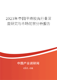 2023年中國平痔膠丸行業深度研究與市場前景分析報告