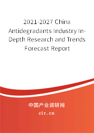 2021-2027 China Antidegradants Industry In-Depth Research and Trends Forecast Report