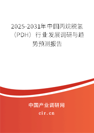 2025-2031年中國丙烷脫氫（PDH）行業發展調研與趨勢預測報告