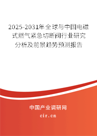 2025-2031年全球與中國電磁式燃氣緊急切斷閥行業研究分析及前景趨勢預測報告