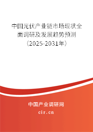 中國光伏產業鏈市場現狀全面調研及發展趨勢預測（2025-2031年）