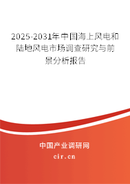 2025-2031年中國海上風電和陸地風電市場調查研究與前景分析報告