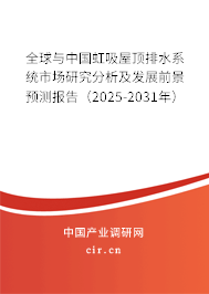全球與中國虹吸屋頂排水系統市場研究分析及發展前景預測報告（2025-2031年）
