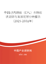 中國己內酰胺（CPL）市場現狀調研與發展前景分析報告（2025-2031年）