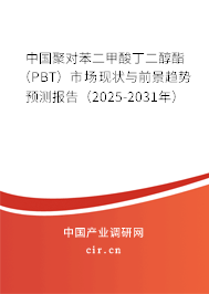 中國聚對苯二甲酸丁二醇酯（PBT）市場現狀與前景趨勢預測報告（2025-2031年）