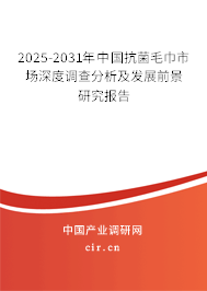 2025-2031年中國抗菌毛巾市場深度調查分析及發展前景研究報告