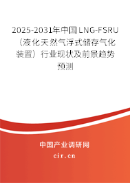 2025-2031年中國LNG-FSRU（液化天然氣浮式儲存氣化裝置）行業現狀及前景趨勢預測