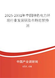 2025-2031年中國綠色電力環境行業發展研及市場前景預測