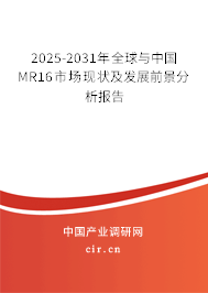 2025-2031年全球與中國MR16市場現(xiàn)狀及發(fā)展前景分析報(bào)告
