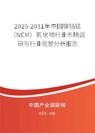 2025-2031年中國鎳鈷錳（NCM）氧化物行業(yè)市場調(diào)研與行業(yè)前景分析報(bào)告