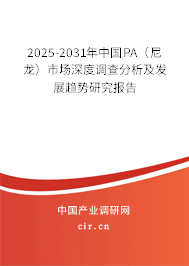 2025-2031年中國PA（尼龍）市場深度調查分析及發展趨勢研究報告