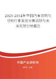 2025-2031年中國汽車音響與導(dǎo)航行業(yè)發(fā)展全面調(diào)研與未來前景分析報(bào)告