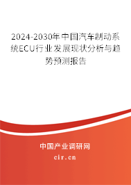 2024-2030年中國(guó)汽車制動(dòng)系統(tǒng)ECU行業(yè)發(fā)展現(xiàn)狀分析與趨勢(shì)預(yù)測(cè)報(bào)告
