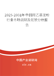 2025-2031年中國羥乙基淀粉行業(yè)市場調(diào)研及前景分析報告