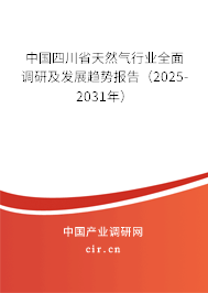 中國四川省天然氣行業全面調研及發展趨勢報告（2025-2031年）
