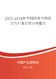 2025-2031年中國線束市場研究與行業前景分析報告