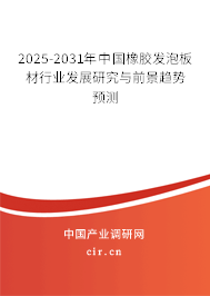 2025-2031年中國橡膠發泡板材行業發展研究與前景趨勢預測