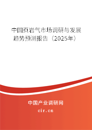 中國頁巖氣市場調研與發(fā)展趨勢預測報告（2025年）