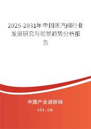 2025-2031年中國蒸汽閥行業發展研究與前景趨勢分析報告