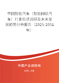 中國(guó)智能汽車（智能網(wǎng)聯(lián)汽車）行業(yè)現(xiàn)狀調(diào)研及未來(lái)發(fā)展趨勢(shì)分析報(bào)告（2025-2031年）