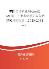 中國自動緊急制動系統（AEB）行業市場調研與前景趨勢分析報告（2025-2031年）