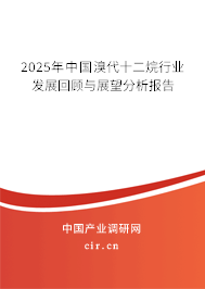 2025年中國溴代十二烷行業發展回顧與展望分析報告