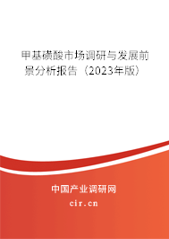 甲基磺酸市場調研與發展前景分析報告（2023年版）
