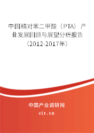 中國精對苯二甲酸（PTA）產業發展回顧與展望分析報告（2012-2017年）