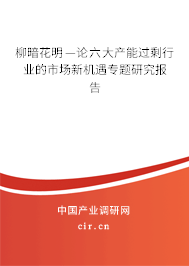 柳暗花明—論六大產能過剩行業的市場新機遇專題研究報告