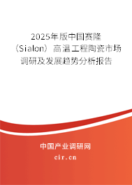 2025年版中國賽隆（Sialon）高溫工程陶瓷市場調研及發展趨勢分析報告