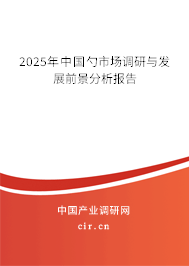 2025年中國勺市場調研與發展前景分析報告