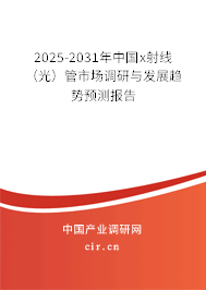 2025-2031年中國x射線（光）管市場調研與發展趨勢預測報告