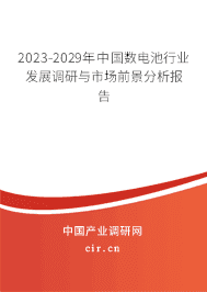 2023-2029年中國數(shù)電池行業(yè)發(fā)展調(diào)研與市場前景分析報告
