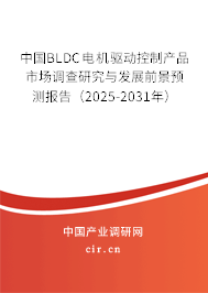 中國BLDC電機驅動控制產品市場調查研究與發展前景預測報告（2025-2031年）