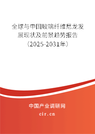 全球與中國玻璃纖維尼龍發展現狀及前景趨勢報告（2025-2031年）