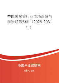 中國采暖管行業市場調研與前景趨勢預測（2025-2031年）