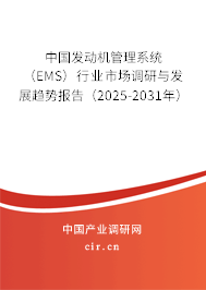 中國發動機管理系統（EMS）行業市場調研與發展趨勢報告（2025-2031年）