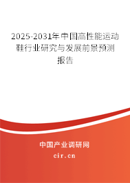 2025-2031年中國高性能運動鞋行業研究與發展前景預測報告