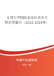 全球與中國鉿發展現狀及市場前景報告（2022-2028年）