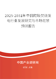 2024-2030年中國垃圾焚燒發電行業發展研究與市場前景預測報告
