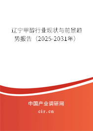 遼寧甲醇行業現狀與前景趨勢報告（2025-2031年）
