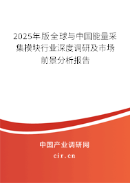 2025年版全球與中國能量采集模塊行業深度調研及市場前景分析報告