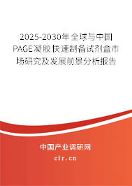 2025-2030年全球與中國(guó)PAGE凝膠快速制備試劑盒市場(chǎng)研究及發(fā)展前景分析報(bào)告