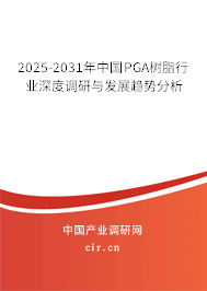 2024-2030年中國PGA樹脂行業深度調研與發展趨勢分析