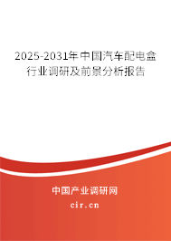 2025-2031年中國汽車配電盒行業調研及前景分析報告